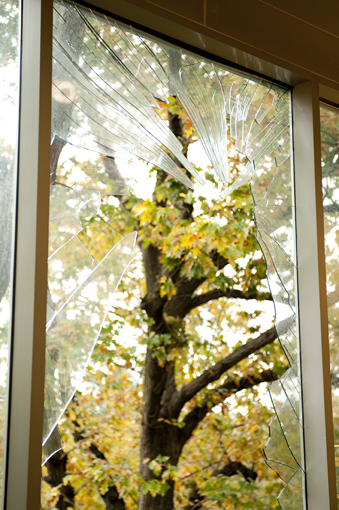Another tree broke a window in the Cullman Molecular Lab