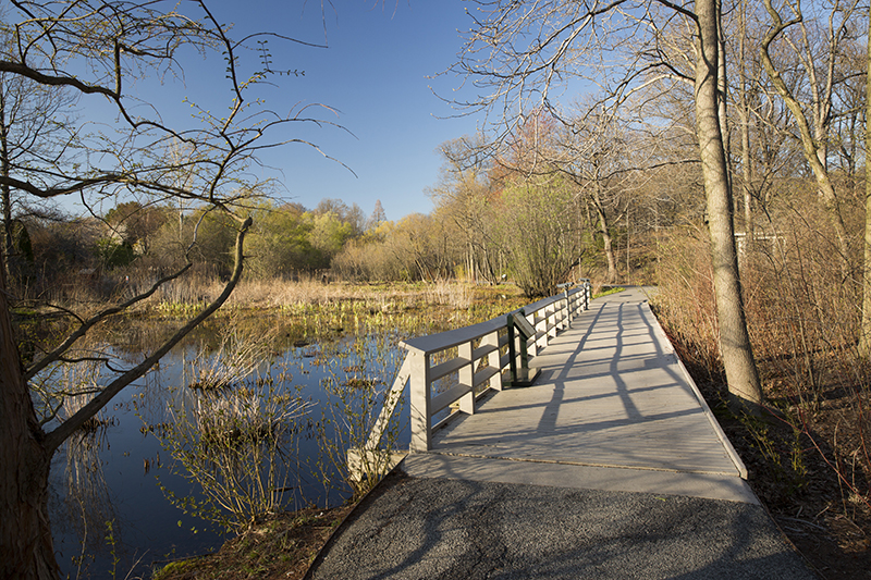 Trail in the Mitsubishi Wild Wetlands