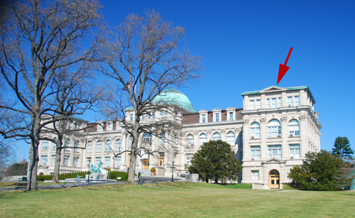 red-tail-library-bldg-by-wayt-mar-09-web