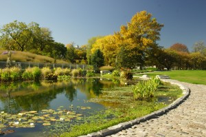 City Garden at Garfield Park Conservatory- Shigeyo Henriquez