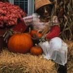 scarecrowpumpkins