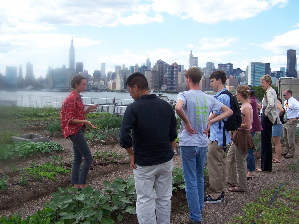What Are You Going to Plant in New York? Plant Talk