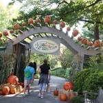 Halloween Hoorah at The New York Botanical Garden