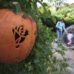 Halloween Hoorah at The New York Botanical Garden