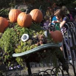 Halloween Hoorah at The New York Botanical Garden