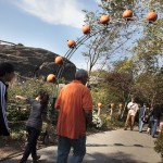 Halloween Hoorah at The New York Botanical Garden