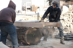 Working their way through the log