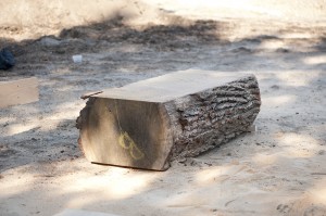 The finished bench will soon call the Garden's Native Forest home