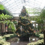 Longwood Conservatory at Christmas