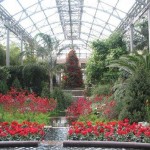 Longwood Conservatory at Christmas