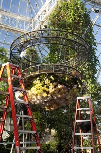 Behind the Scenes at The Orchid Show: On Broadway