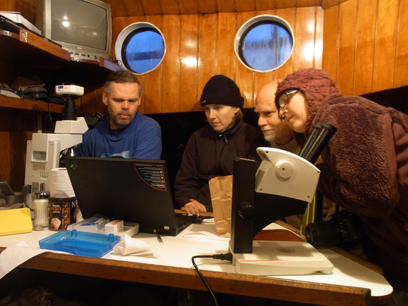 Microscoping in the Galley