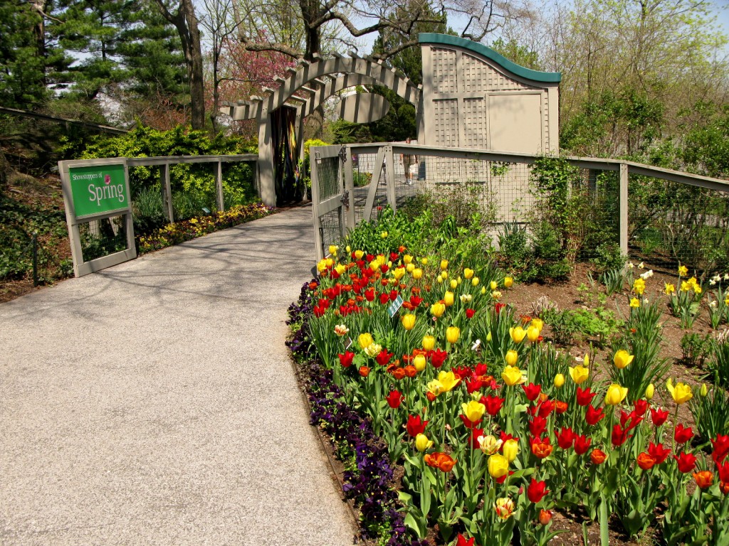 Color in the Children's Adventure Garden