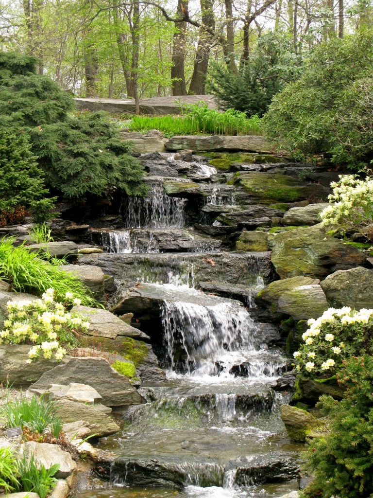 The Rock Garden