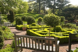 The Nancy Bryan Luce Herb Garden features a formal boxwood parterre