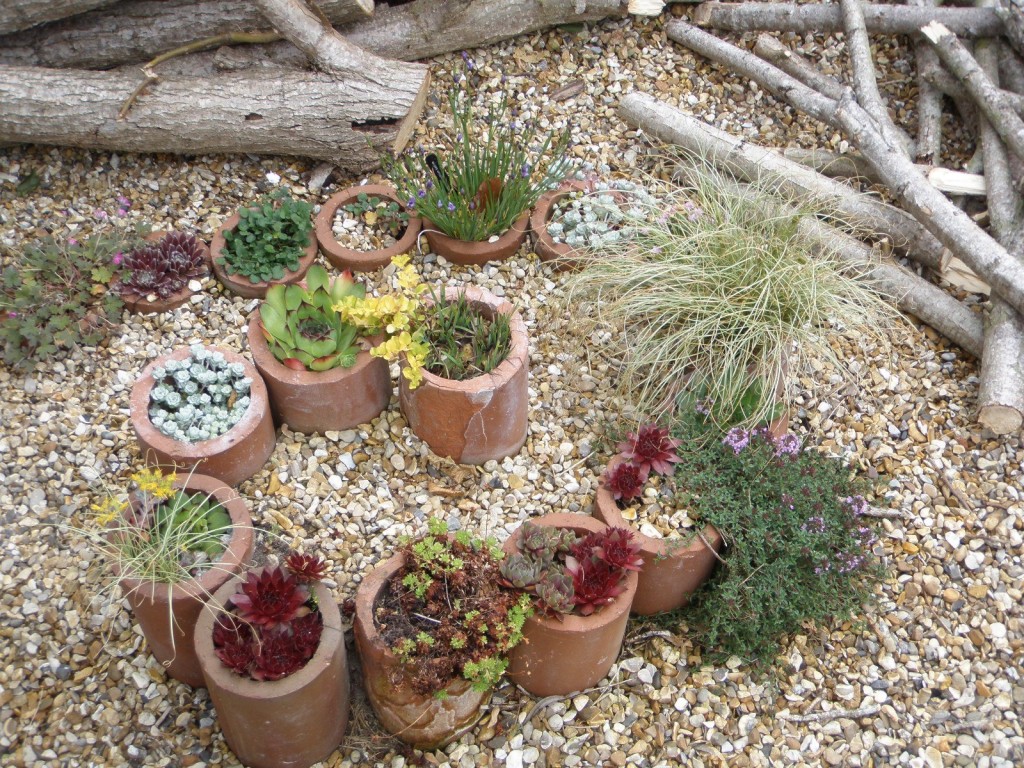 Recycled Drain Pipes Used as Planters in the Hampshire (U.K.) Garden of Pauline Thomas