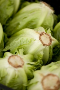 Lettuce at the Greenmarket