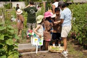 Learning in the Family Garden