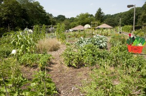 Mario Batali's Edible Garden at The New York Botanical Garden