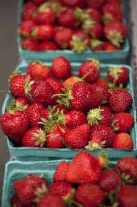 Strawberries at The New York Botanical Garden Greenmarket