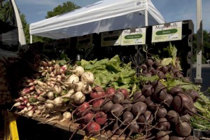 Beets at The New York Botanical Garden Greenmarket