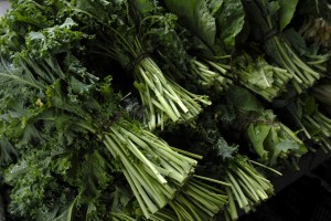 Kale at The New York Botanical Garden Greenmarket