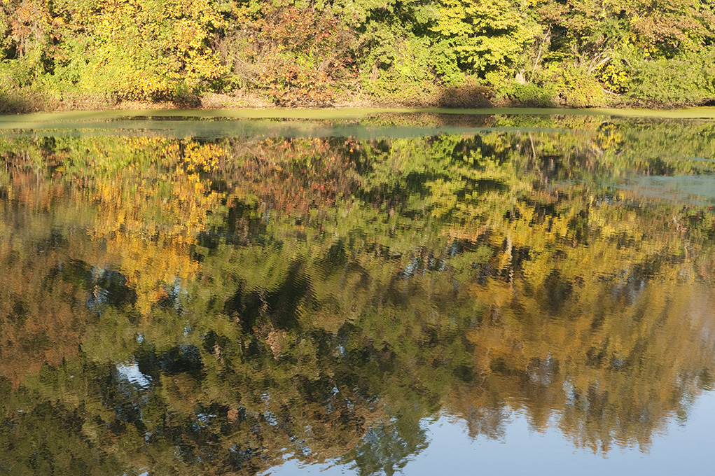 Fall Foliage on Twin Lakes