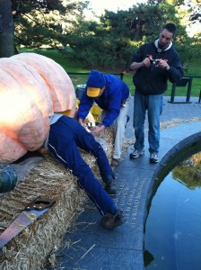 Carving a giant pumpkin