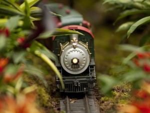 Holiday Train Show