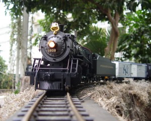 Holiday Train Show