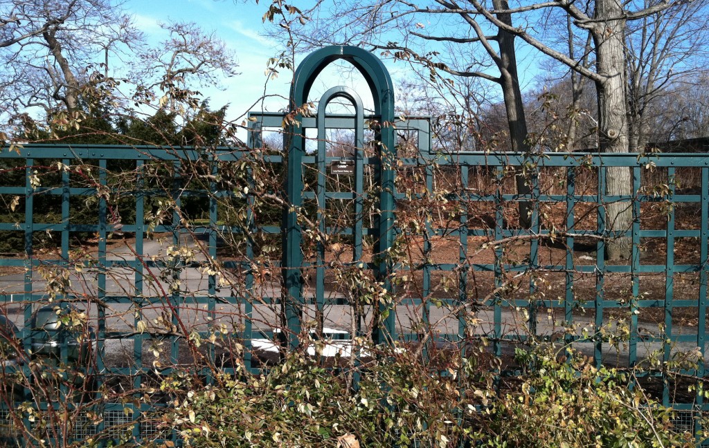 Before Pruning Before Pruning