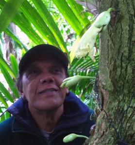 Ivan and the calabash