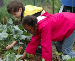 Children's Gardening