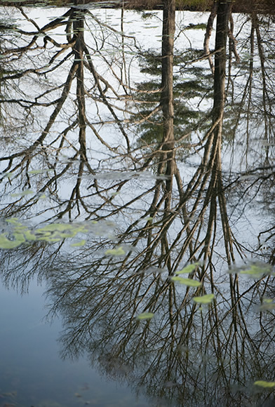 Twin Lakes Reflection