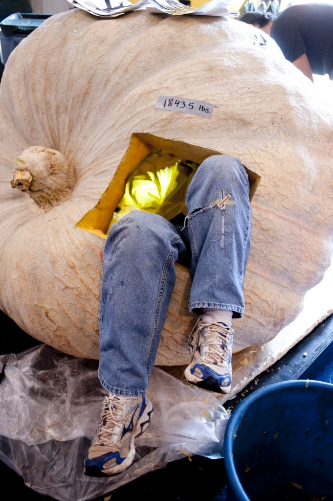 Eaten by a Pumpkin