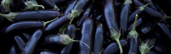 Vegetables at the Greenmarket