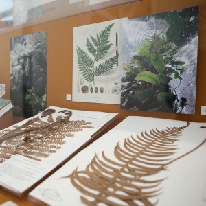 Herbarium