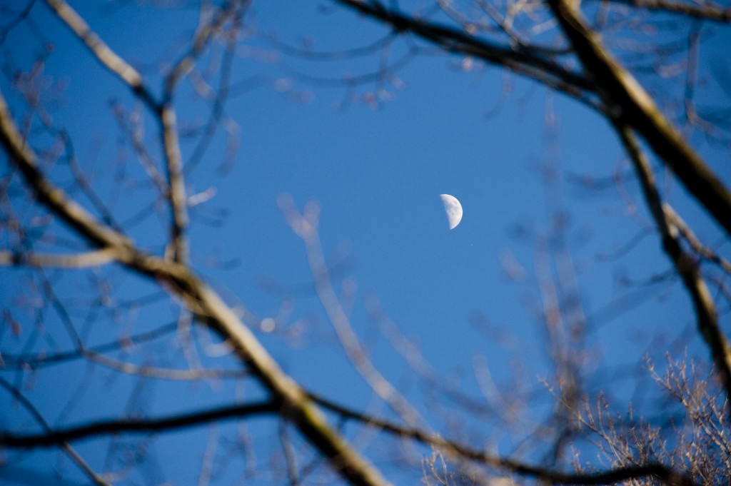 Day's Moon