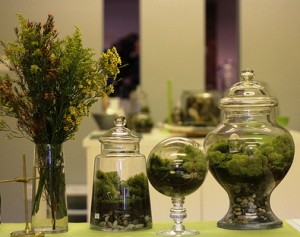 Twig Terrariums