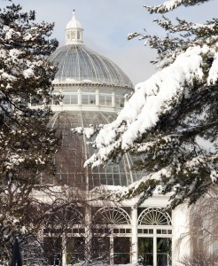 The NYBG Weekend