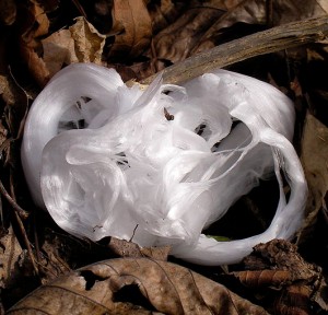 Frost flower