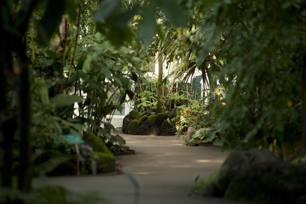 Enid A. Haupt Conservatory