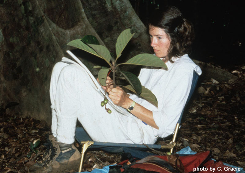 Botanical artist Bobbi Angell sketching plants in French Guiana.
