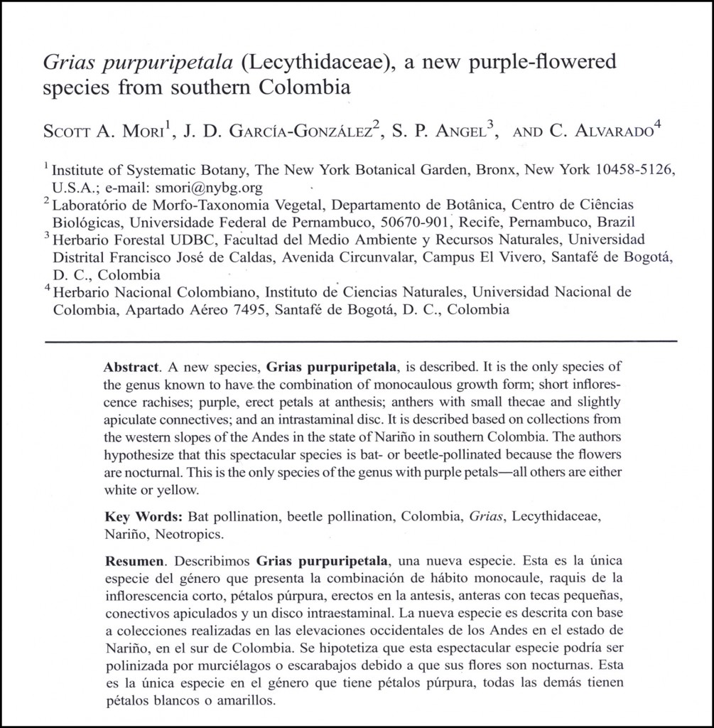 The publication in which the new species, Grias purpuripetala, was published.