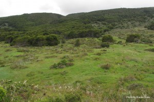 IMG_1341_1323_Wulaia_indigenous_settlement_site copy