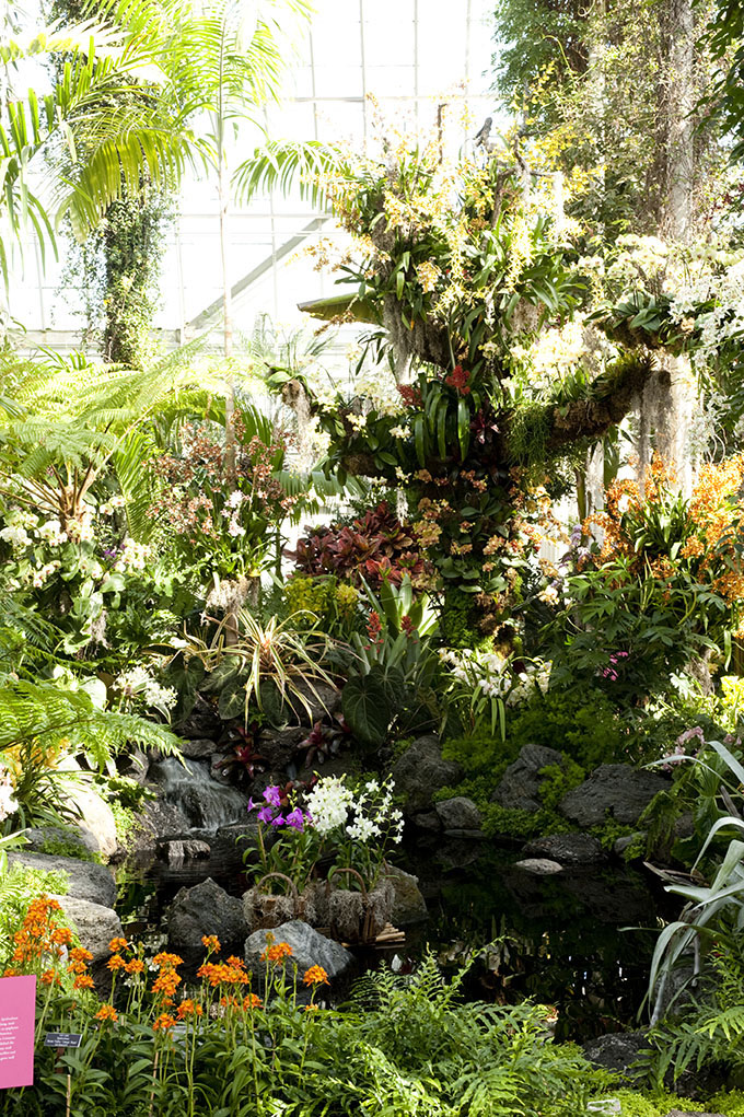 Ņujorkas botāniskā dārza dārzkopības skola
