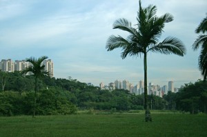 A view of the megalopolis of Sâo Paulo from the Botanical Garden.