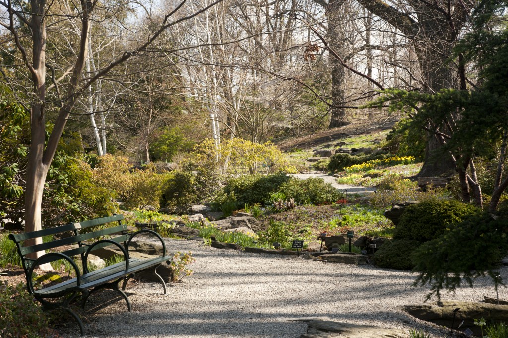 Rock Garden