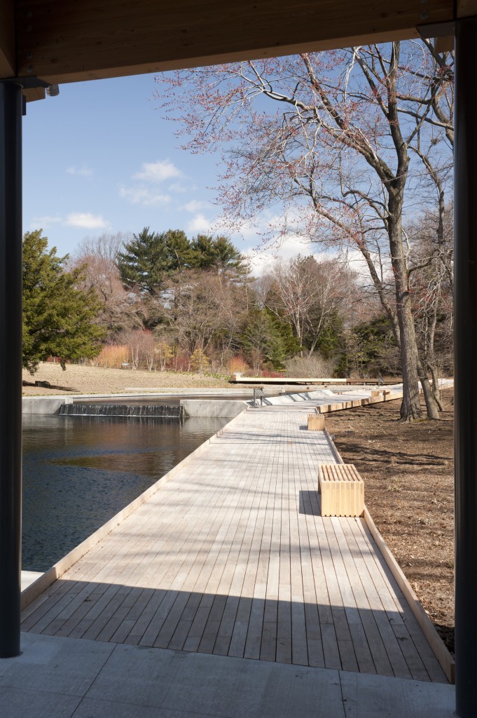 The Native Plant Garden