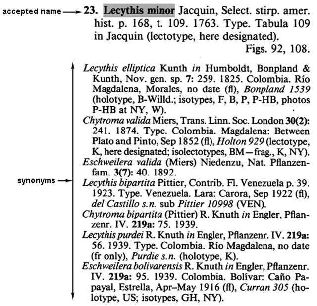 The synonyms of Lecythis minor are earlier names for the same species.